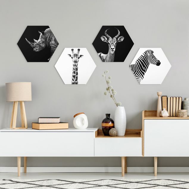 Hexagon Bild Forex 4-teilig - Safari Quartett