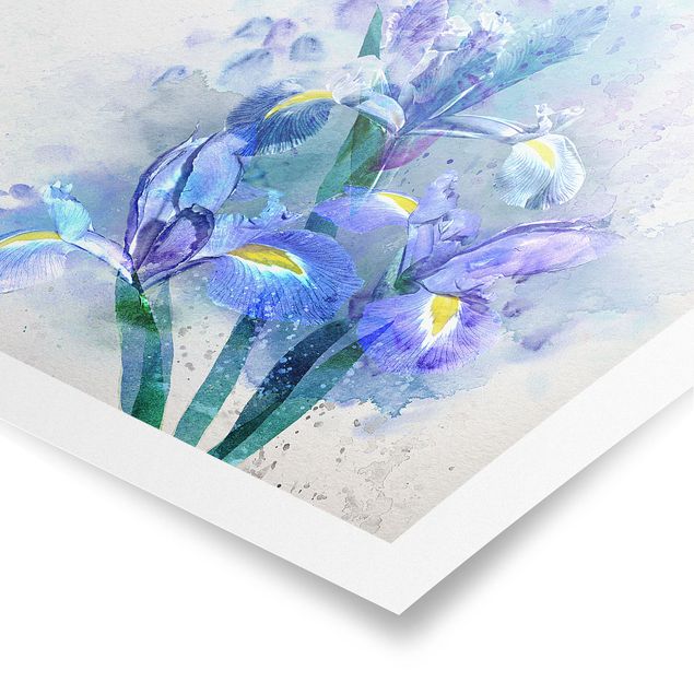 Poster - Aquarell Blumen Iris - Quadrat 1:1