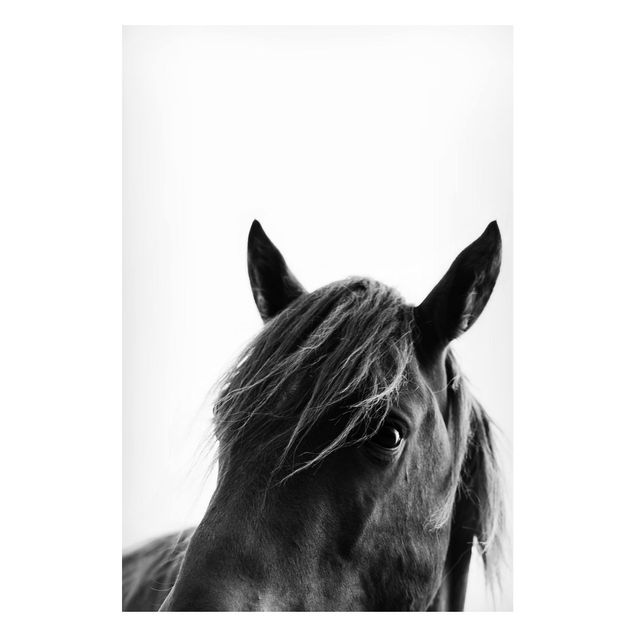 Magnettafel - Neugieriges Pferd - Hochformat 2:3