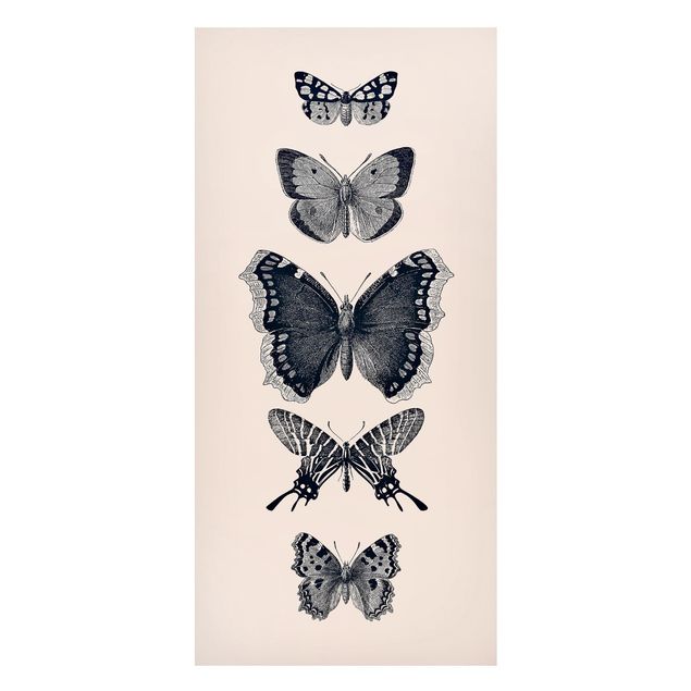 Magnettafel - Tusche Schmetterlinge auf Beige - Panorama Hochformat