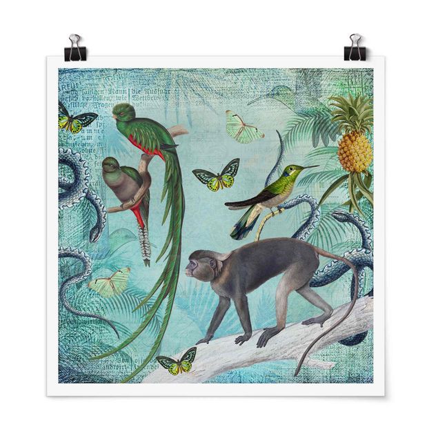 Poster - Colonial Style Collage - Äffchen und Paradiesvögel - Quadrat 1:1