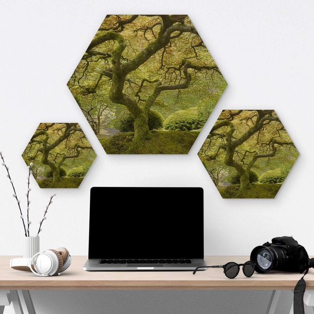 Hexagon Bild Holz - Grüner Japanischer Garten