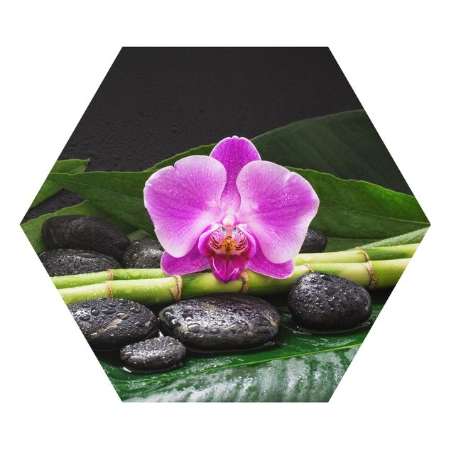 Hexagon Bild Alu-Dibond - Grüner Bambus mit Orchideenblüte