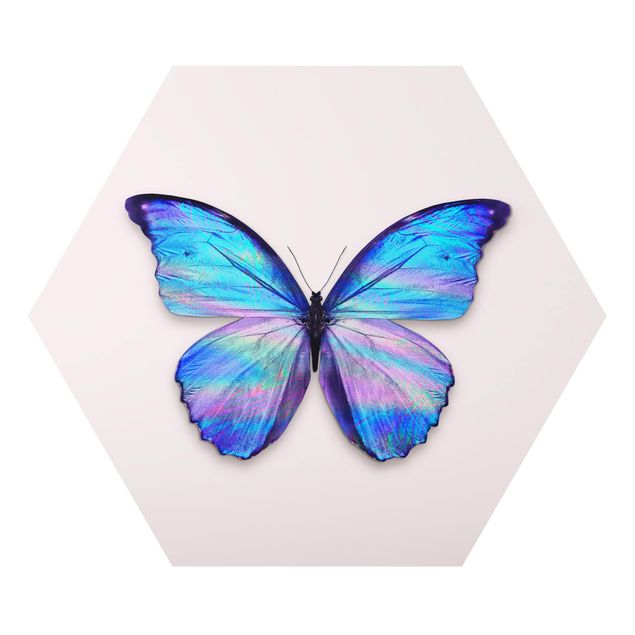 Hexagon Bild Alu-Dibond - Jonas Loose - Holografischer Schmetterling