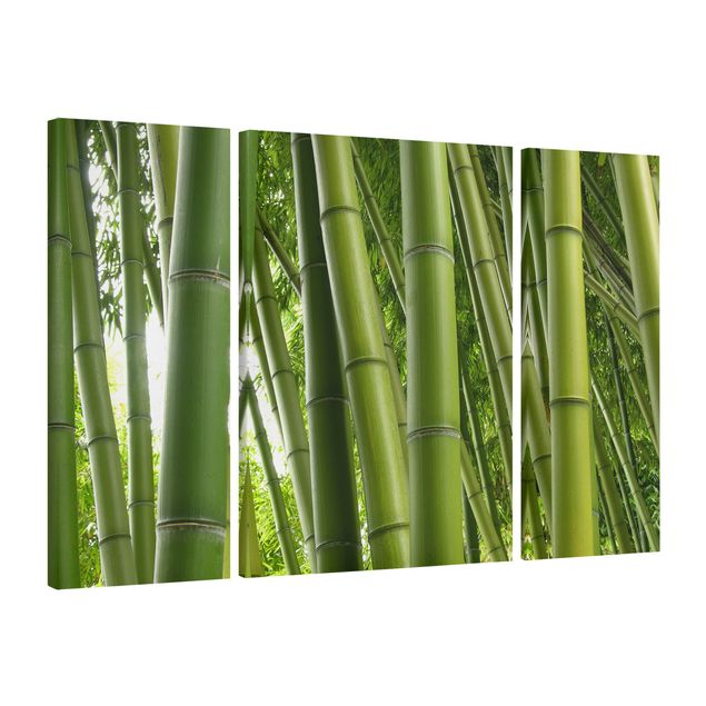 Leinwandbild 3-teilig - Bamboo Trees - Triptychon