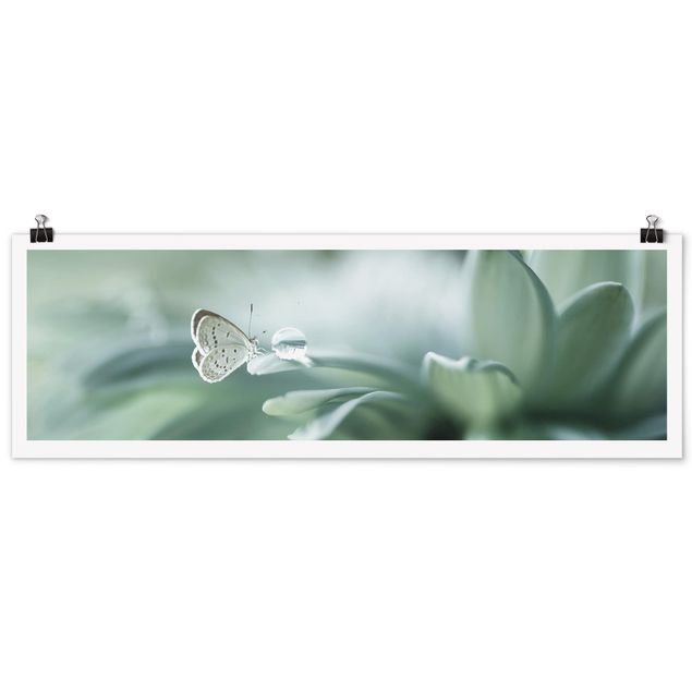 Poster - Schmetterling und Tautropfen in Pastellgrün - Panorama Querformat
