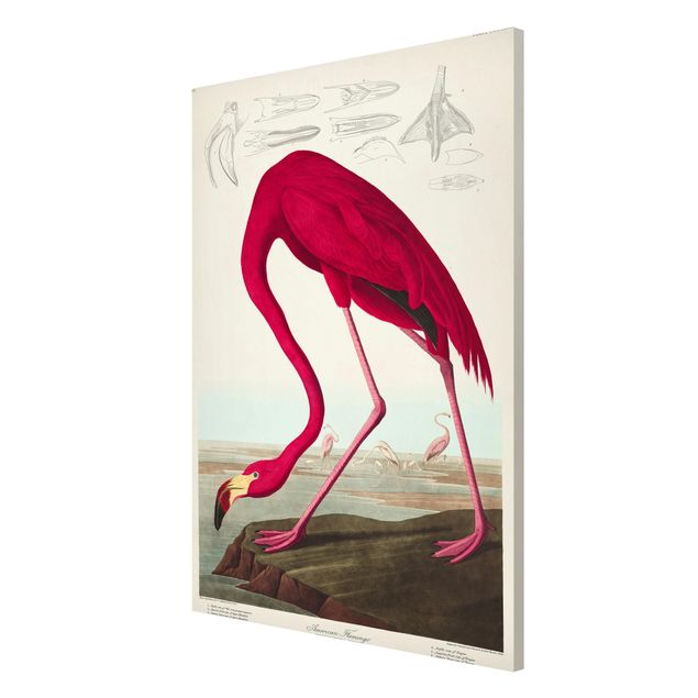 Magnettafel - Vintage Lehrtafel Amerikanischer Flamingo - Memoboard Hochformat 3:2