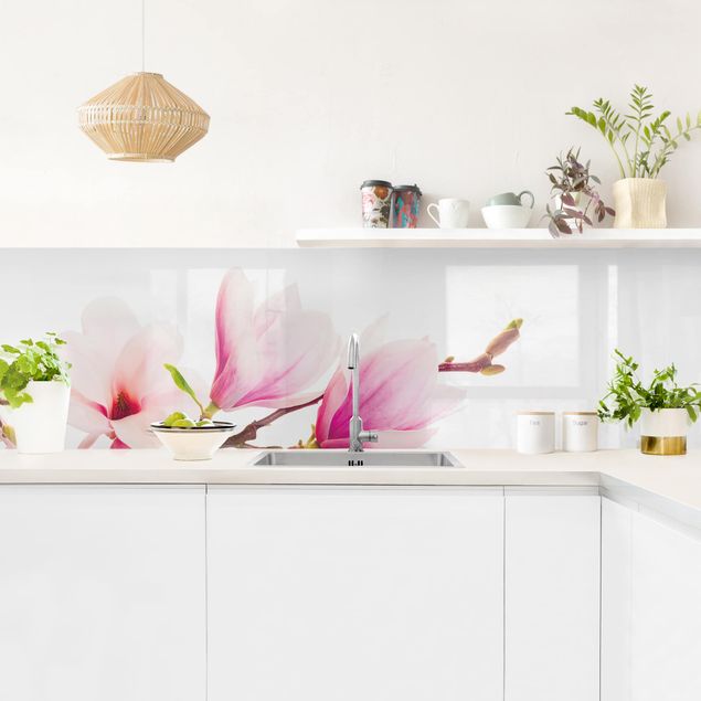 Küchenrückwand - Zarter Magnolienzweig