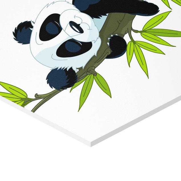 Hexagon Bild Forex - Schlafender Panda