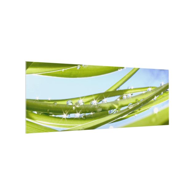 Spritzschutz Glas - Fresh Green - Panorama - 5:2