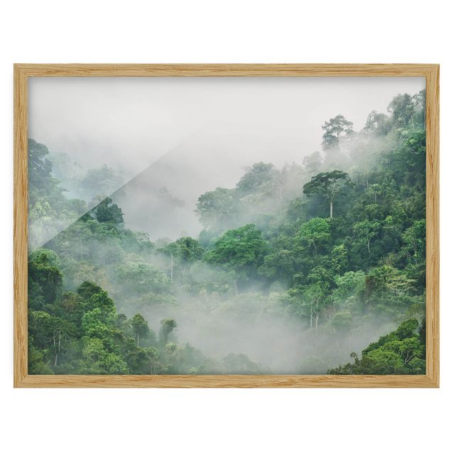 Bild mit Rahmen - Dschungel im Nebel - Hochformat 3:4