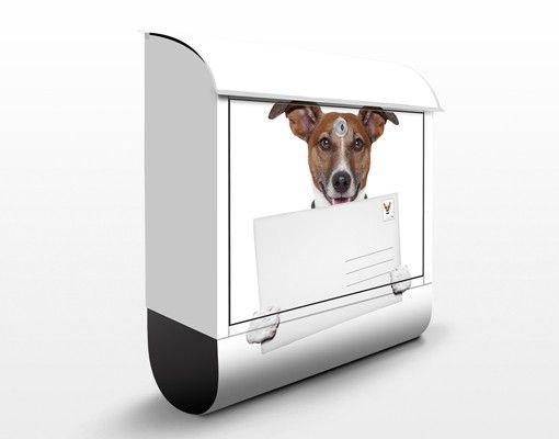 Briefkasten mit Zeitungsfach - Hund mit Brief - Briefkasten mit Tiermotiv