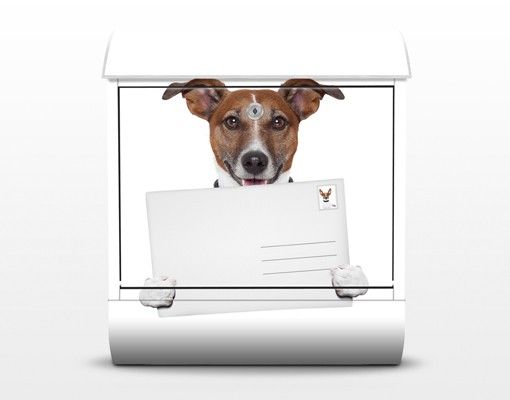 Briefkasten mit Zeitungsfach - Hund mit Brief - Briefkasten mit Tiermotiv