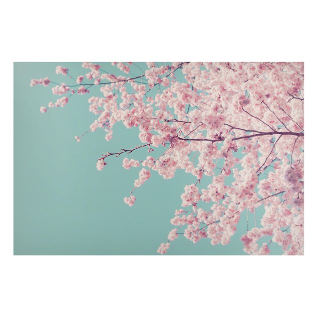 Magnettafel - Japanische Kirschblüte - Hochformat 3:2