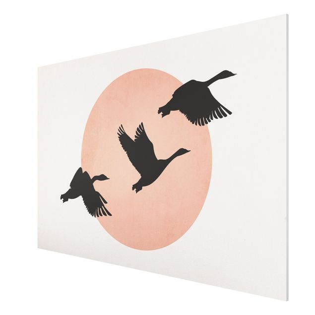 Forex Fine Art Print - Vögel vor rosa Sonne III - Querformat 2:3