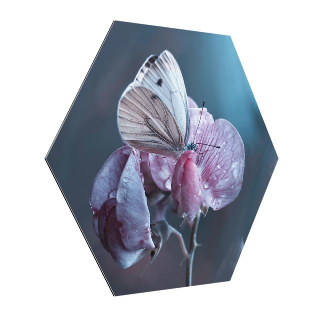 Hexagon Bild Alu-Dibond - Schmetterling im Regen