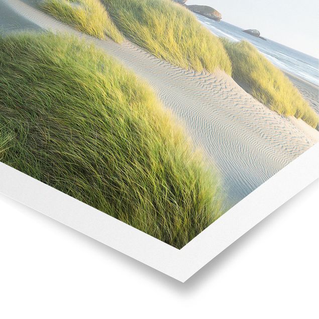 Poster - Dünen und Gräser am Meer - Quadrat 1:1