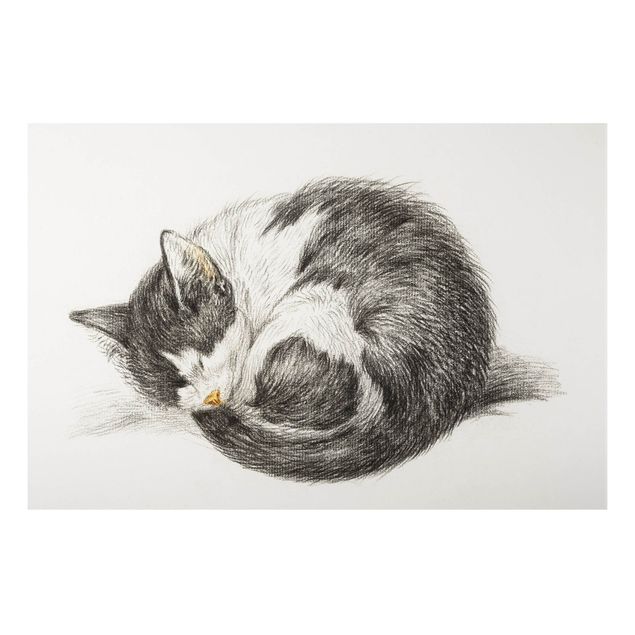 Aluminium Print gebürstet - Vintage Zeichnung Katze II - Querformat 2:3
