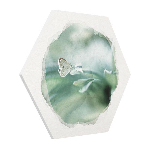 Hexagon Bild Forex - Wasserfarben - Schmetterling und Tautropfen in Pastellgrün