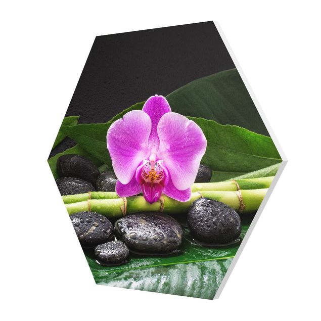 Hexagon Bild Forex - Grüner Bambus mit Orchideenblüte