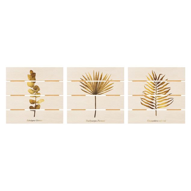 Holzbild 3-teilig - Gold - Tropische Blätter Set I - Quadrate 1:1