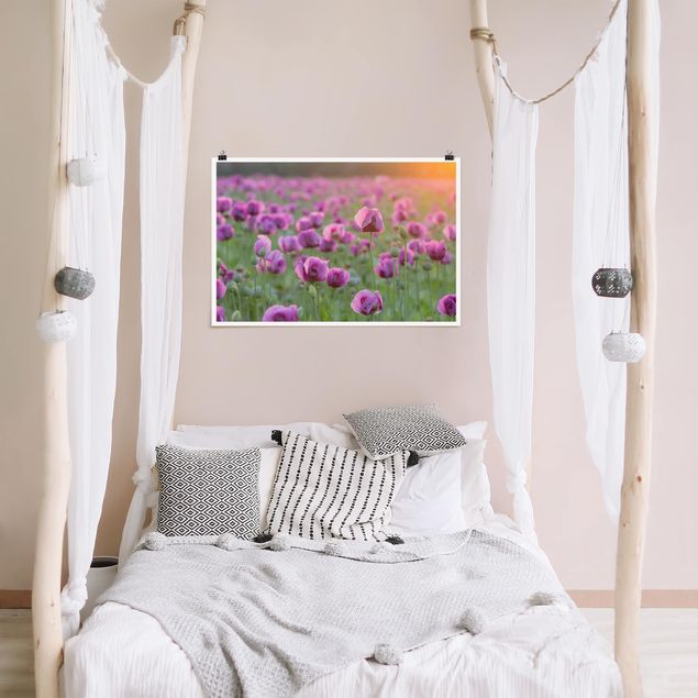 Poster - Violette Schlafmohn Blumenwiese im Frühling - Querformat 2:3