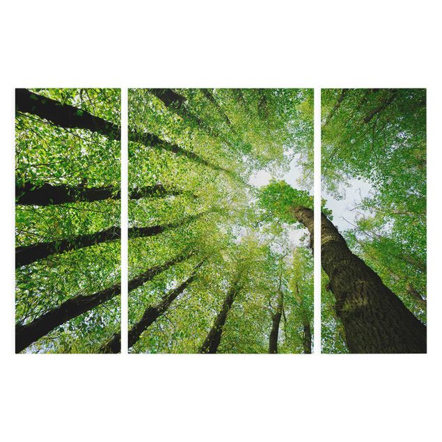 Leinwandbild 3-teilig - Bäume des Lebens - Triptychon