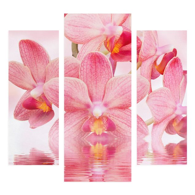 Leinwandbild 3-teilig - Rosa Orchideen auf Wasser - Galerie Triptychon