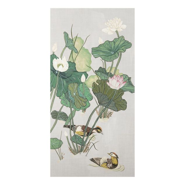 Aluminium Print gebürstet - Vintage Illustration Lotusblüten im Teich - Hochformat 2:1