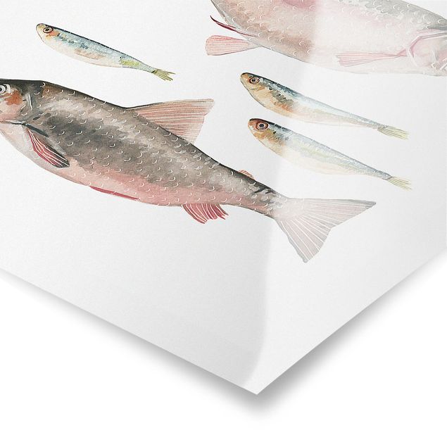 Poster - Sieben Fische in Aquarell I - Hochformat 3:2