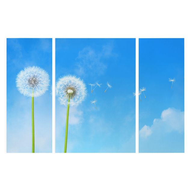 Leinwandbild 3-teilig - Flying Seeds - Triptychon