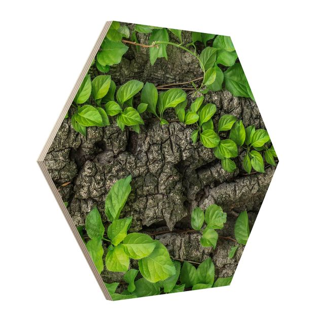 Hexagon Bild Holz - Efeuranken Baumrinde
