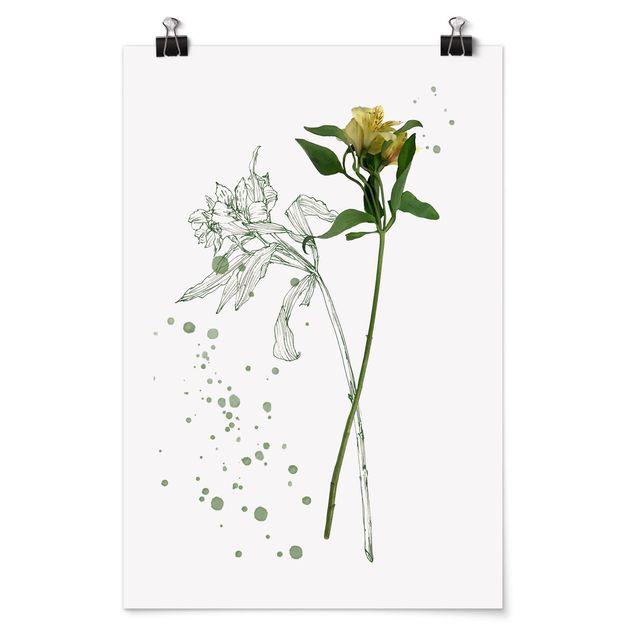 Poster - Botanisches Aquarell - Lilie - Hochformat 3:2