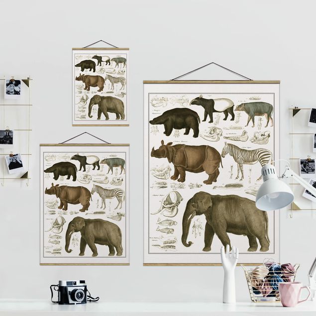 Stoffbild mit Posterleisten - Vintage Lehrtafel Elefant, Zebra und Nashorn - Hochformat 3:4