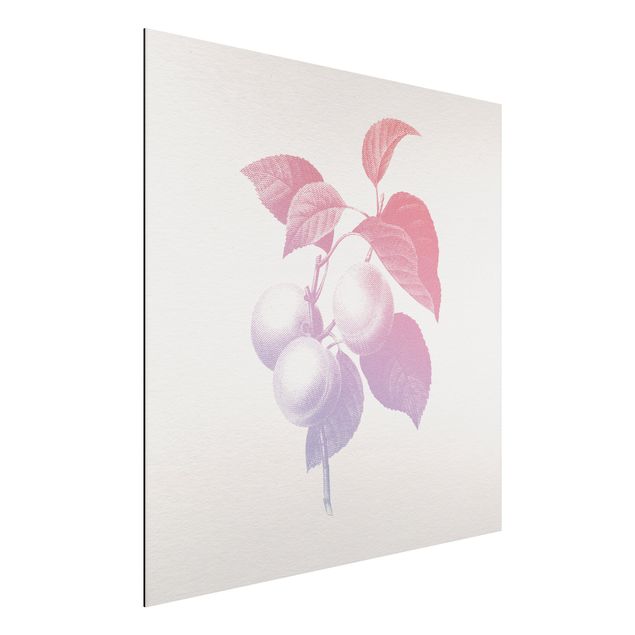 Aluminium Print gebürstet - Modern Vintage Botanik Pfirsich Rosa Violett - Quadrat 1:1