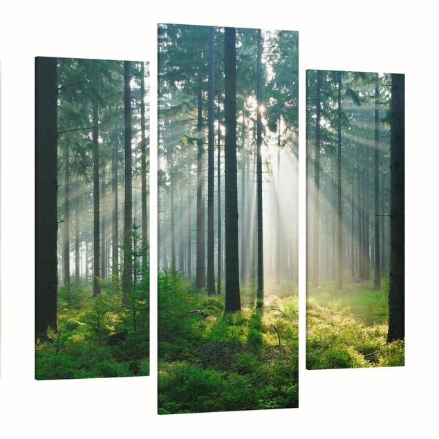 Leinwandbild 3-teilig - Enlightened Forest - Galerie Triptychon