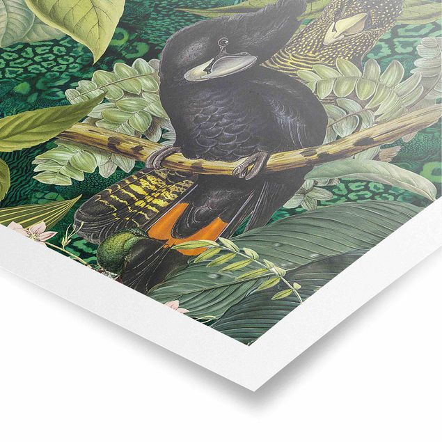Poster - Bunte Collage - Kakadus im Dschungel - Quadrat 1:1
