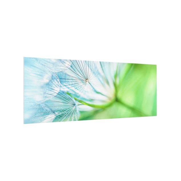 Spritzschutz Glas - Abstrakte Pusteblume - Panorama - 5:2