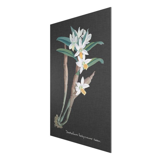 Aluminium Print gebürstet - Weiße Orchidee auf Leinen I - Hochformat 3:2