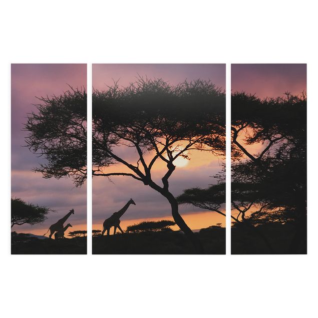 Leinwandbild 3-teilig - Safari in Afrika - Triptychon