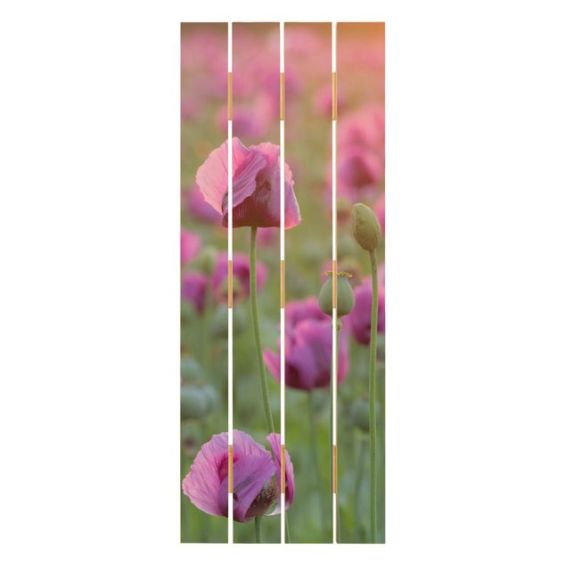 Holzbild - Violette Schlafmohn Blumenwiese im Frühling - Hochformat 5:2