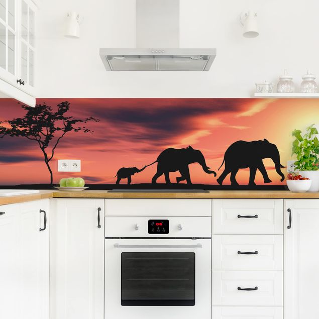 Küchenrückwand - Savannah Elefant