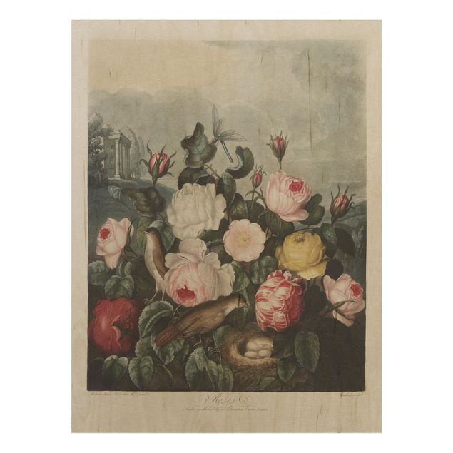 Holzbild - Botanik Vintage Illustration Rosen - Hochformat 4:3