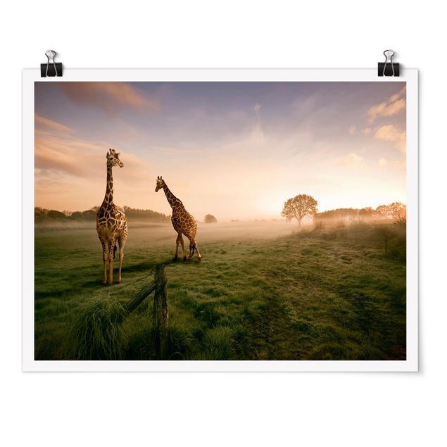 Poster - Surreal Giraffes - Querformat 3:4