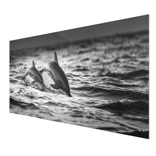 Forex Fine Art Print - Zwei springende Delfine - Querformat 1:2
