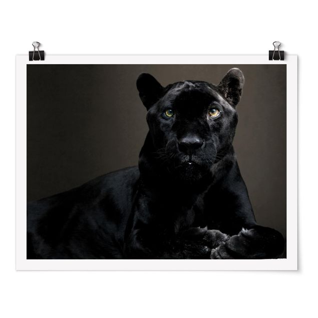 Poster - Black Puma - Querformat 3:4