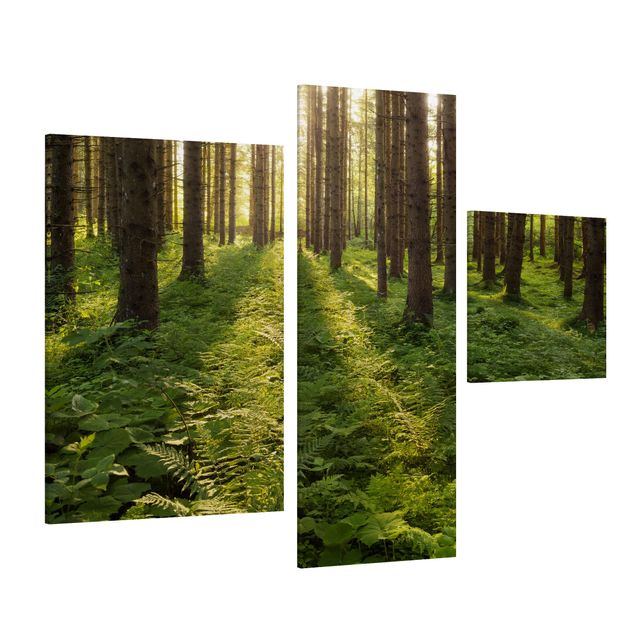 Leinwandbild 3-teilig - Sonnenstrahlen in grünem Wald - Collage 1