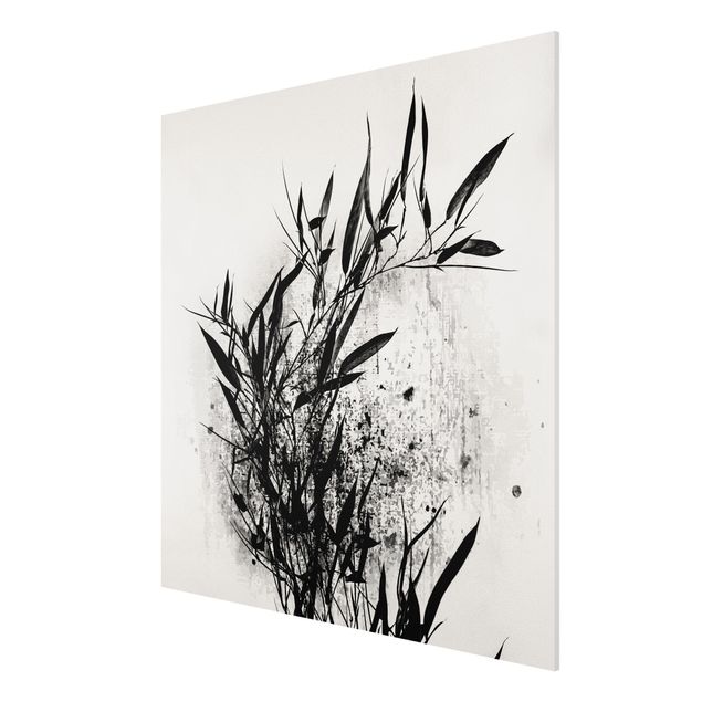Forex Fine Art Print - Grafische Pflanzenwelt - Schwarzer Bambus - Quadrat 1:1