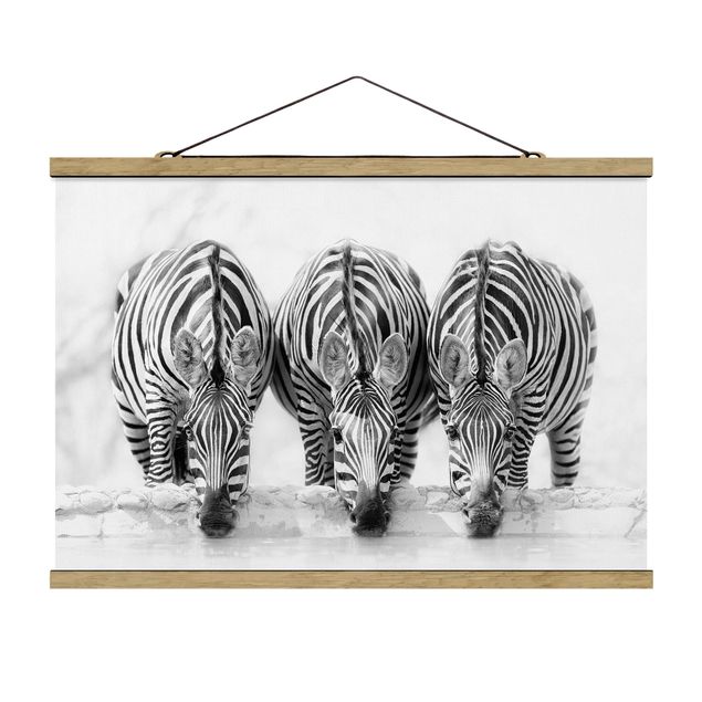 Stoffbild mit Posterleisten - Zebra Trio schwarz-weiß - Querformat 3:2