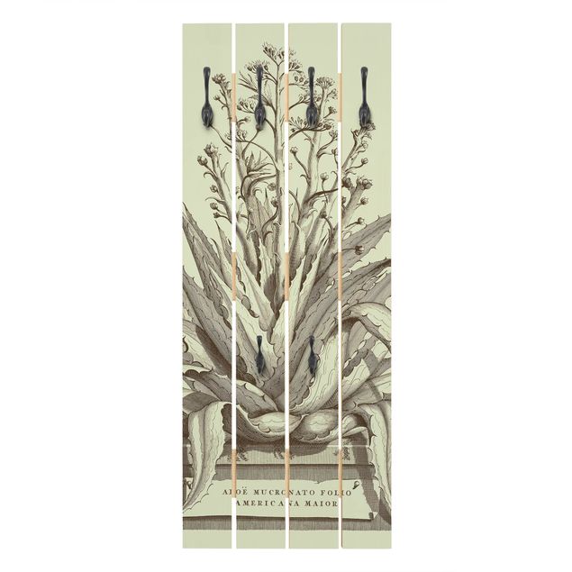 Wandgarderobe Holz - Vintage Aloe Vera Americana Major - Haken chrom Hochformat